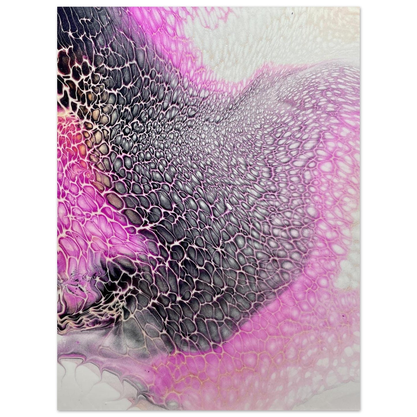 cbc603f5-faec-4f1f-8017-c5023bd01379