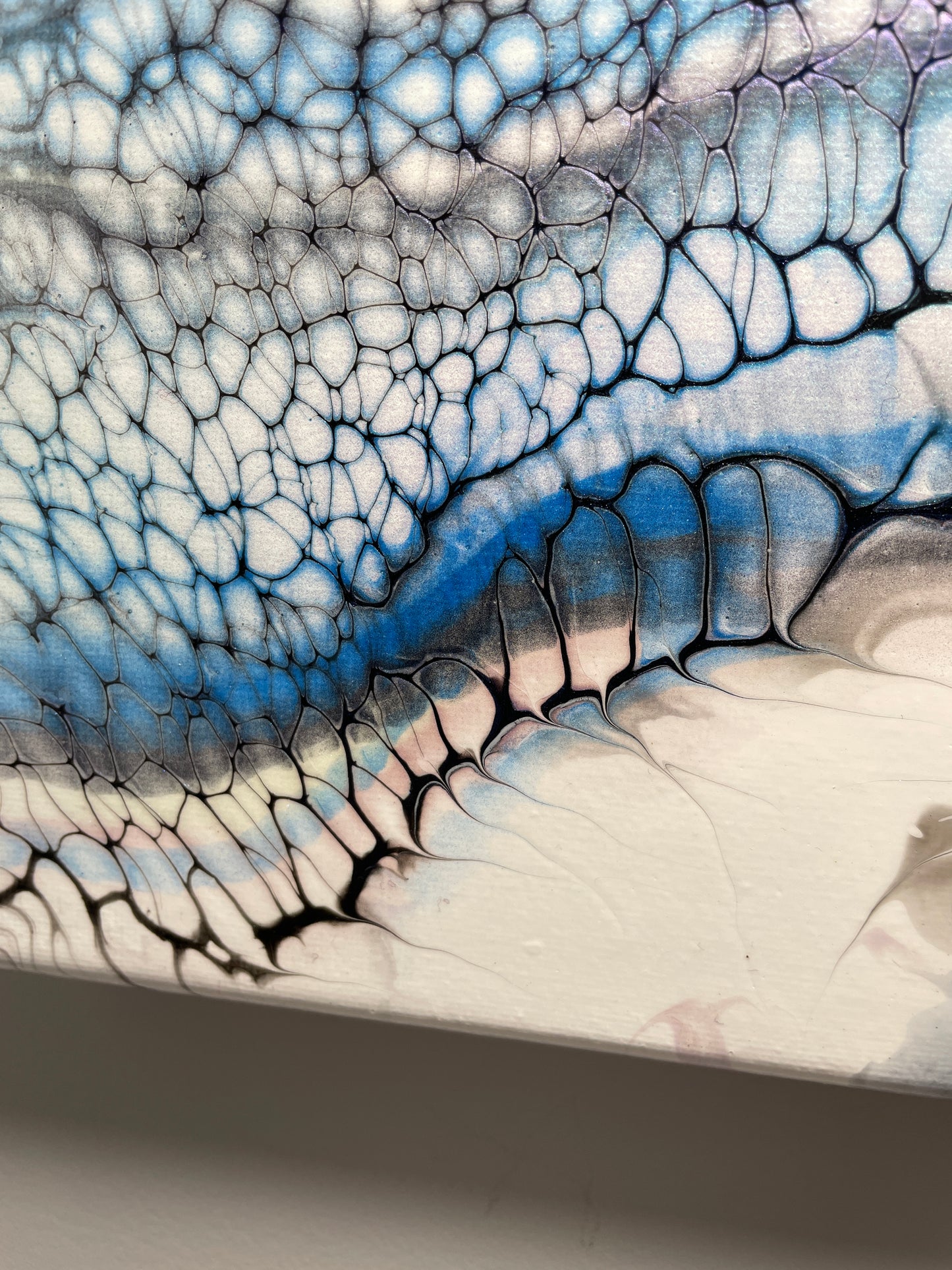 Close-up of butterfly wing with intricate patterns in blue, white, and gray.